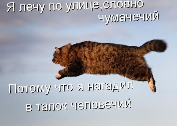 Юрий Кисель