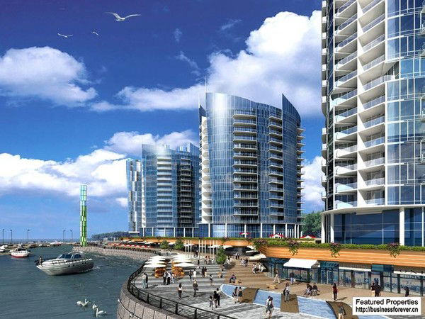 Дмитрий Сенчук