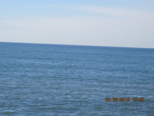 Анна Свинарчук