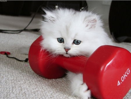 Нина Халаман