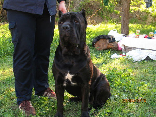 Наталья Иванова