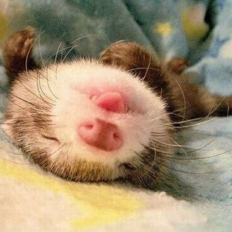 Владислав Виноградов