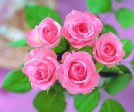 Досмырзаева Нуржанат