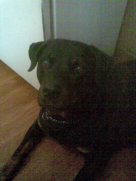 Николай Семыкин