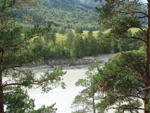 Наталья Быкова