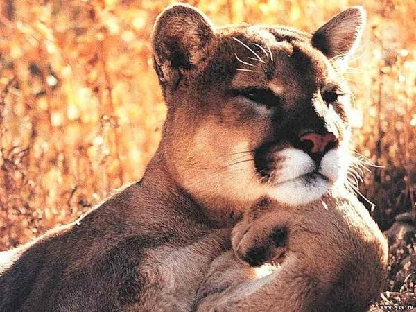 Юрманов Сергей