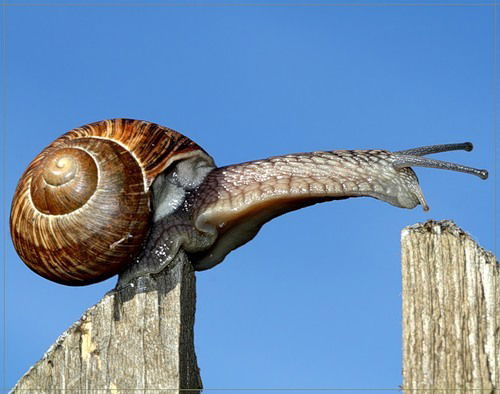 Евгений Седов