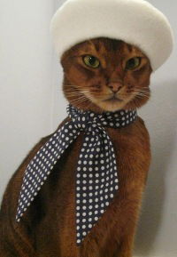 Анастасия Воробьева