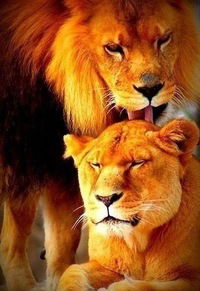 Татьяна Вишневская