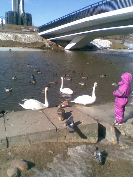 Сергей Усков