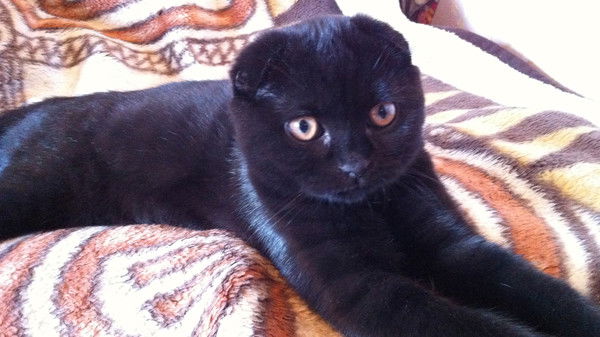 Ирина Белозёрова