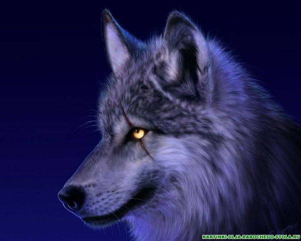 Антон Гвоздев