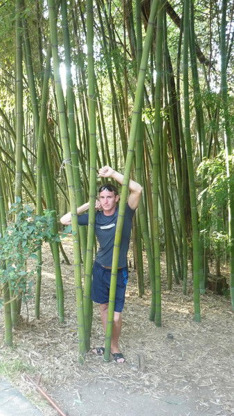 Ни Колай Анденков