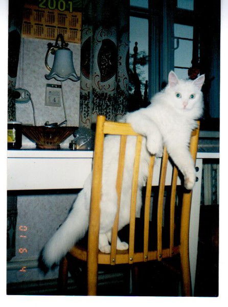 Наталья Гусева