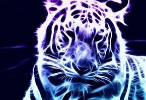 Кирилл Грицюк