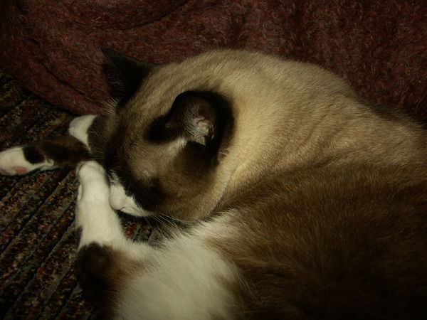 Марина Козырева