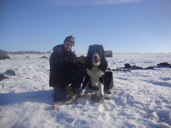 Михаил Шулика