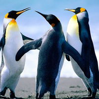 Сергей Казаков