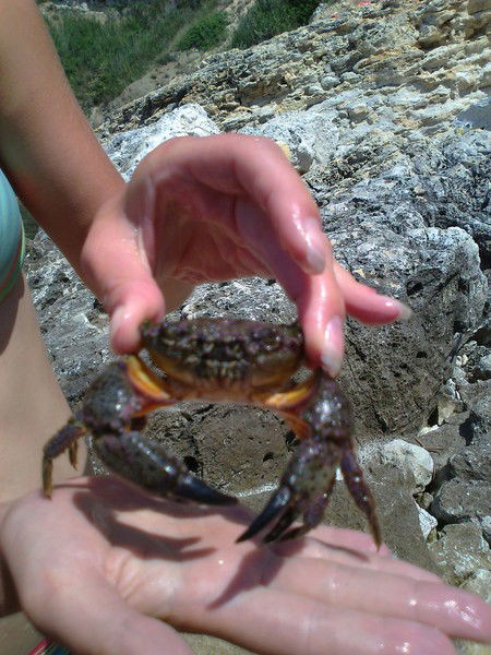 Андрей Рублев