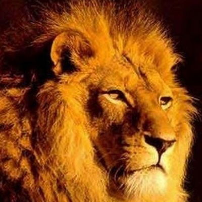 Лев Калмыков