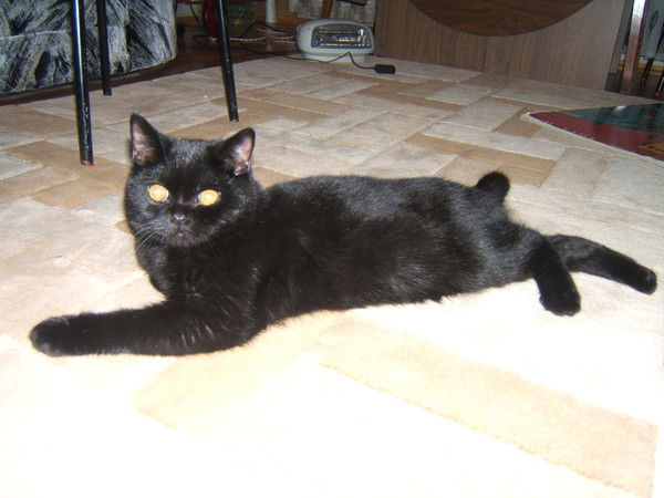 Резеда Баязитова