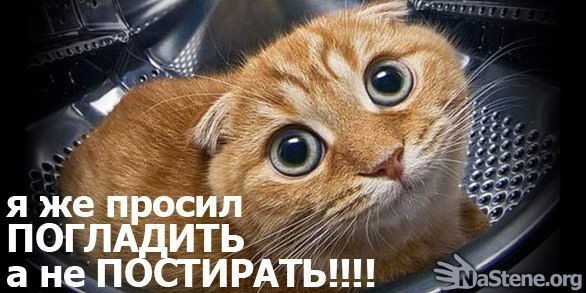 Василий Прокошев