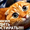 Василий Прокошев