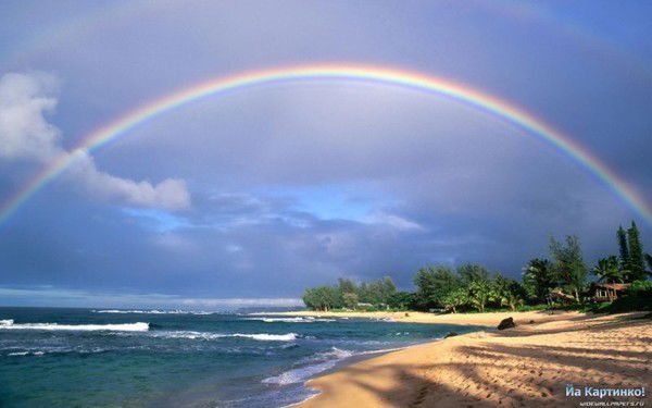 Оксана Бондаренко