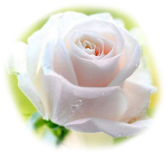 Зухра Умурзакова