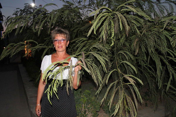 Наталья Слепухина