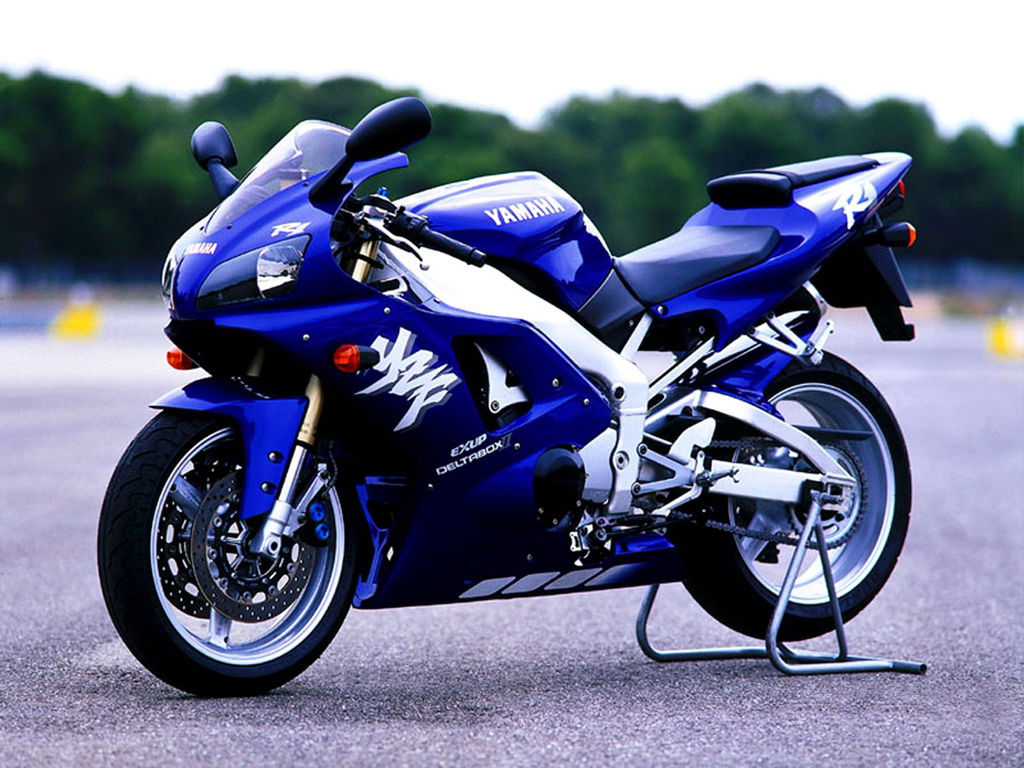 Сергей Плотников