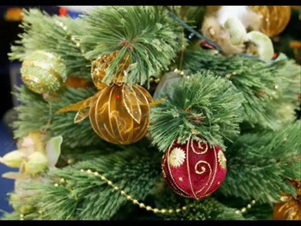 Елена Буланова