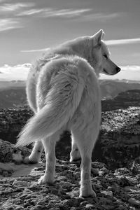 Евгений Фролов