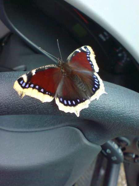 Татьяна Картавцева