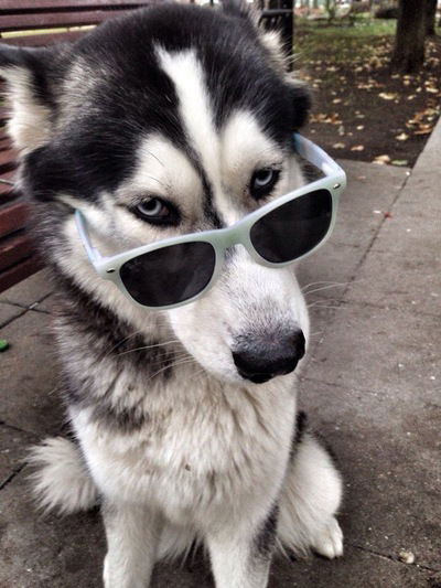 Олег Воронов