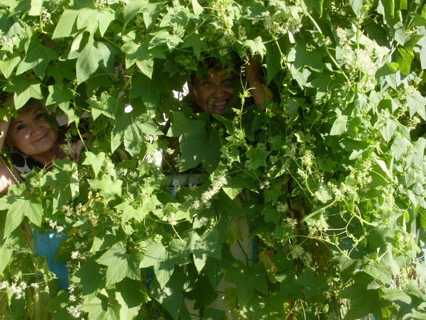 Фарида Мухаметханова