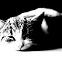 Тоня Мирзоева