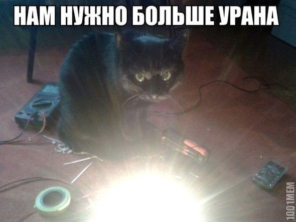 Антон Родин