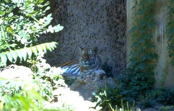 Анна Маслова