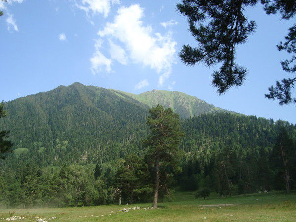 Любовь Линиченко