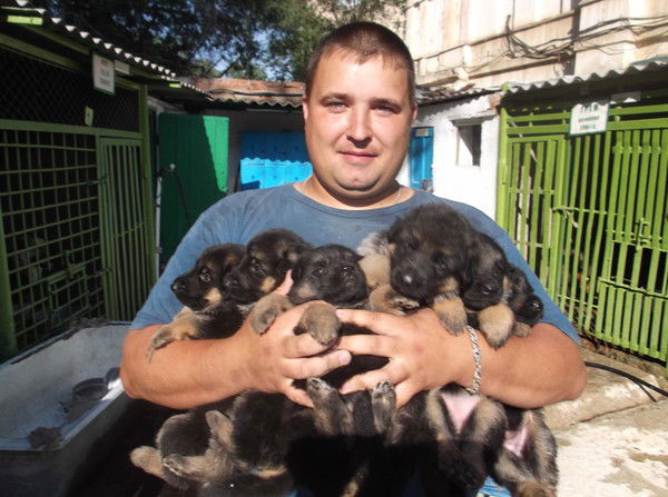 Денис Матвеев