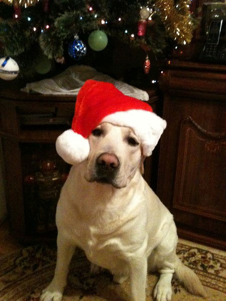 Гончарова Ольга