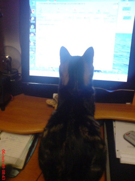 Лидия Саукова