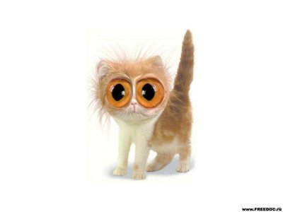 Дмитрий Полонский