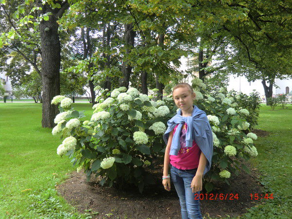 Алина Абдрахманова