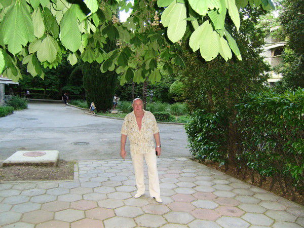 Владимир Мусатов