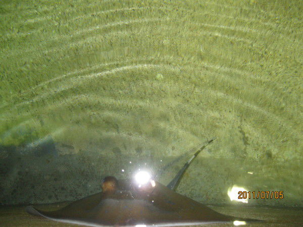 Акименко Наталья