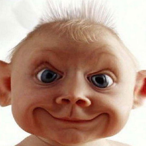 Максим Перепелка