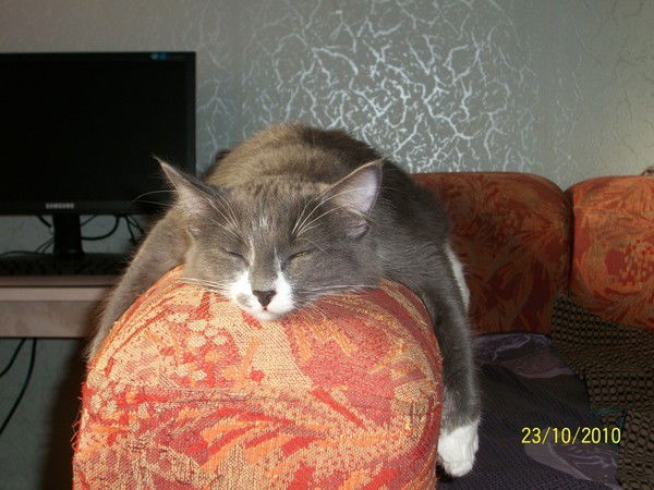 Владимир Погорелкин