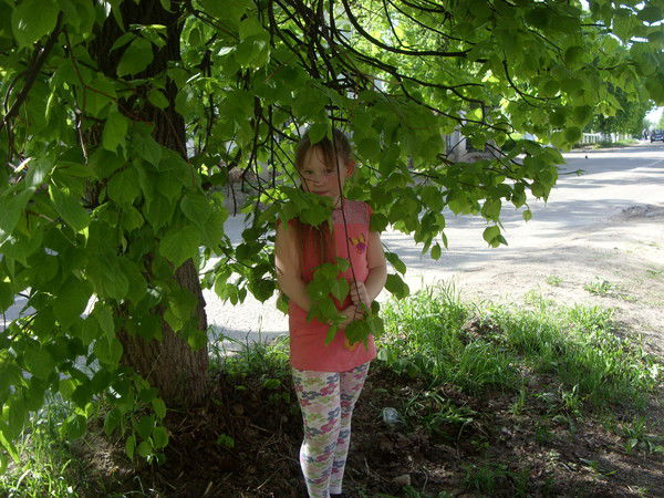 Алина Шишина